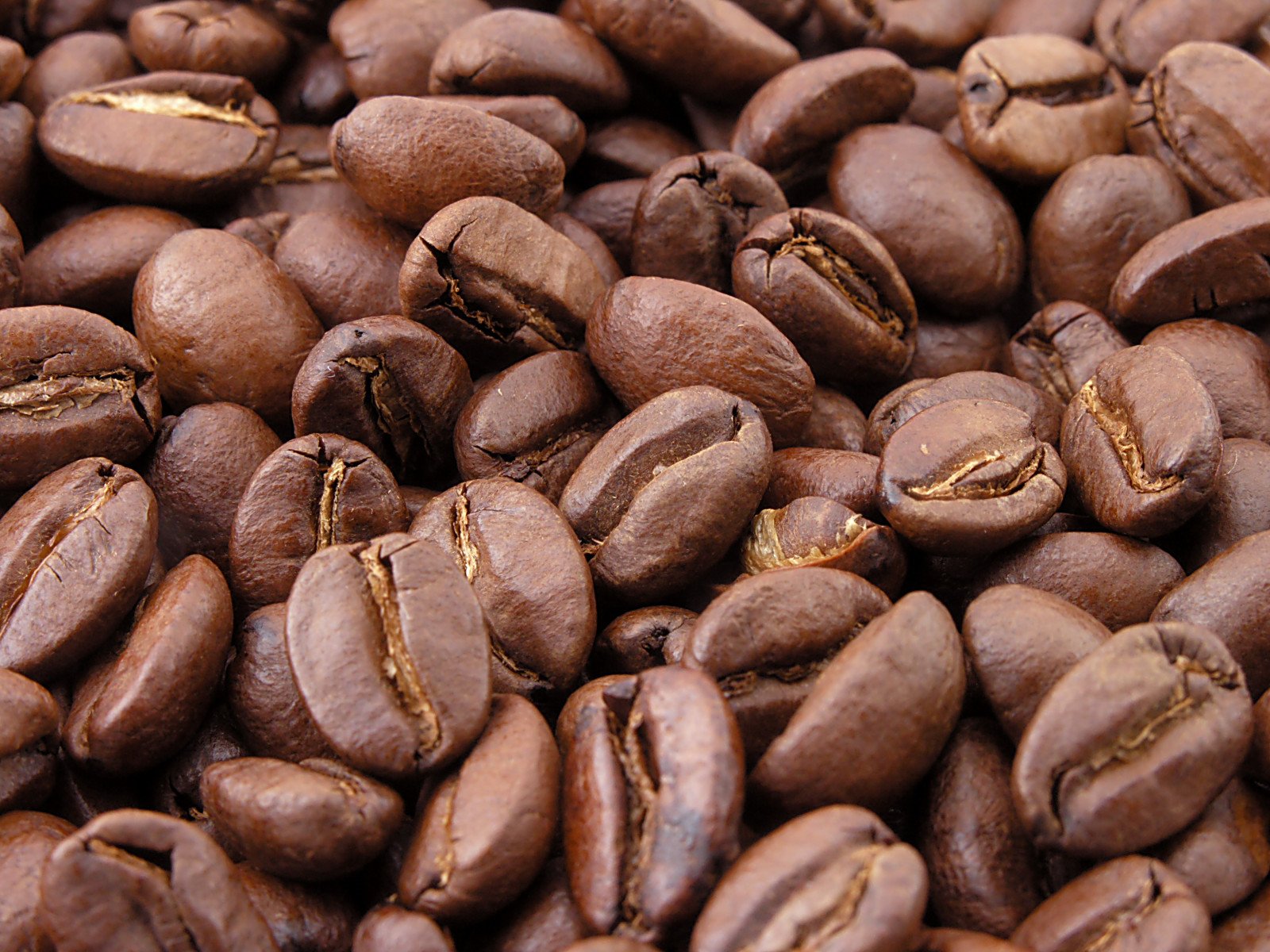Close-up pile of roasted coffee beans